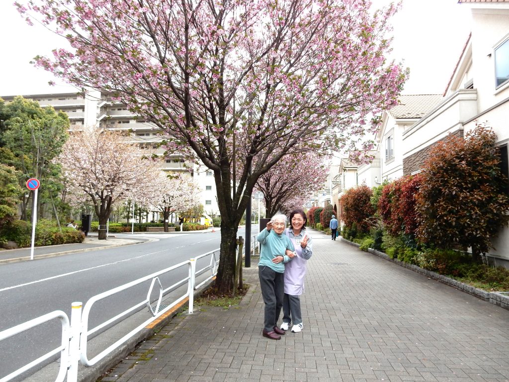 現在の画像に代替テキストがありません。ファイル名: DSCN0847-scaled.jpg