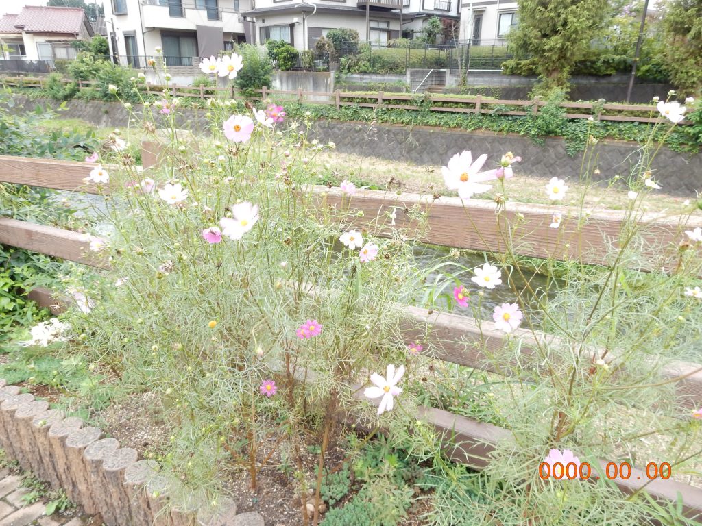 現在の画像に代替テキストがありません。ファイル名: DSCN2842-scaled.jpg